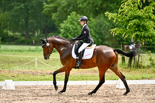 Goldene Schärpe Pferfde in Löningen 2026 | 12062026Dressur B _0316 