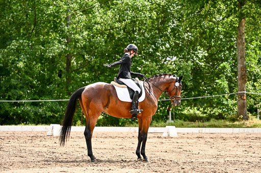 Goldene Schärpe Pferfde in Löningen 2026 | 12062026Dressur B _0318 