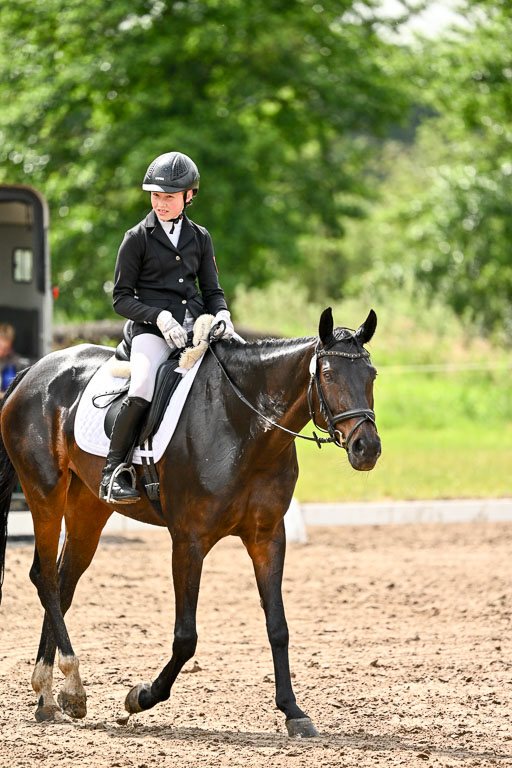 Goldene Schärpe Pferfde in Löningen 2026 | 12062026Dressur B _0320 