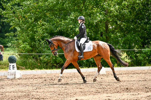 Goldene Schärpe Pferfde in Löningen 2026 | 12062026Dressur B _0325 