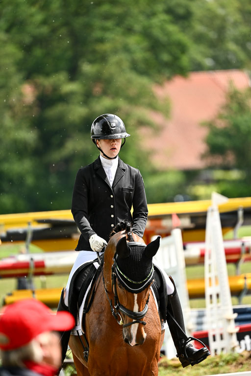 Goldene Schärpe Pferfde in Löningen 2026 | 12062026Dressur B _0326 