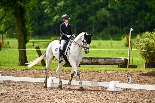 Goldene Schärpe Pferfde in Löningen 2026 | 12062026Dressur B _0329 