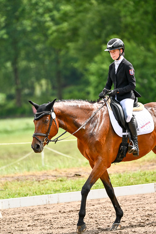 Goldene Schärpe Pferfde in Löningen 2026 | 12062026Dressur B _0330 