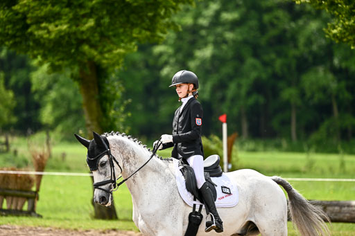 Goldene Schärpe Pferfde in Löningen 2026 | 12062026Dressur B _0332 