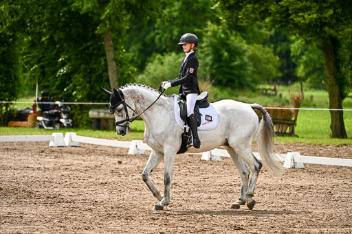Goldene Schärpe Pferfde in Löningen 2026 | 12062026Dressur B _0333 