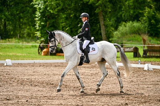 Goldene Schärpe Pferfde in Löningen 2026 | 12062026Dressur B _0334 