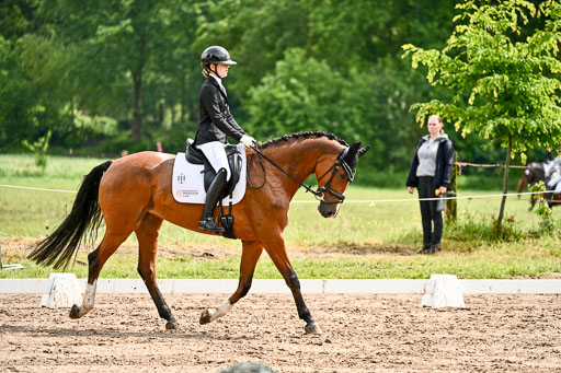 Goldene Schärpe Pferfde in Löningen 2026 | 12062026Dressur B _0337 