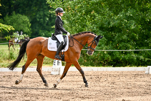 Goldene Schärpe Pferfde in Löningen 2026 | 12062026Dressur B _0338 