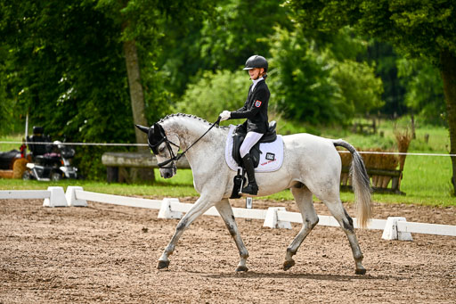 Goldene Schärpe Pferfde in Löningen 2026 | 12062026Dressur B _0342 