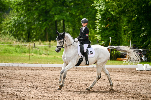 Goldene Schärpe Pferfde in Löningen 2026 | 12062026Dressur B _0343 