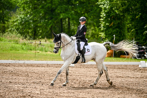Goldene Schärpe Pferfde in Löningen 2026 | 12062026Dressur B _0344 