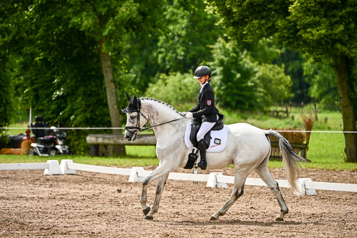 Goldene Schärpe Pferfde in Löningen 2026 | 12062026Dressur B _0346 