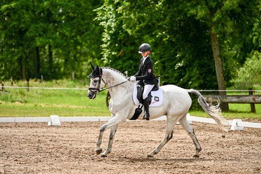 Goldene Schärpe Pferfde in Löningen 2026 | 12062026Dressur B _0348 
