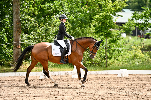 Goldene Schärpe Pferfde in Löningen 2026 | 12062026Dressur B _0350 