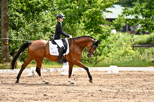 Goldene Schärpe Pferfde in Löningen 2026 | 12062026Dressur B _0351 
