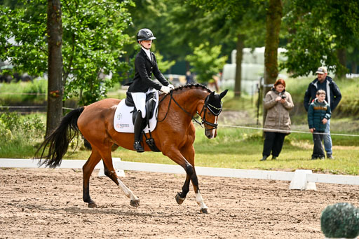 Goldene Schärpe Pferfde in Löningen 2026 | 12062026Dressur B _0354 
