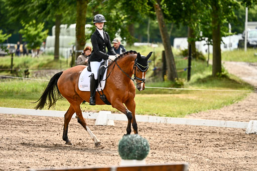 Goldene Schärpe Pferfde in Löningen 2026 | 12062026Dressur B _0356 