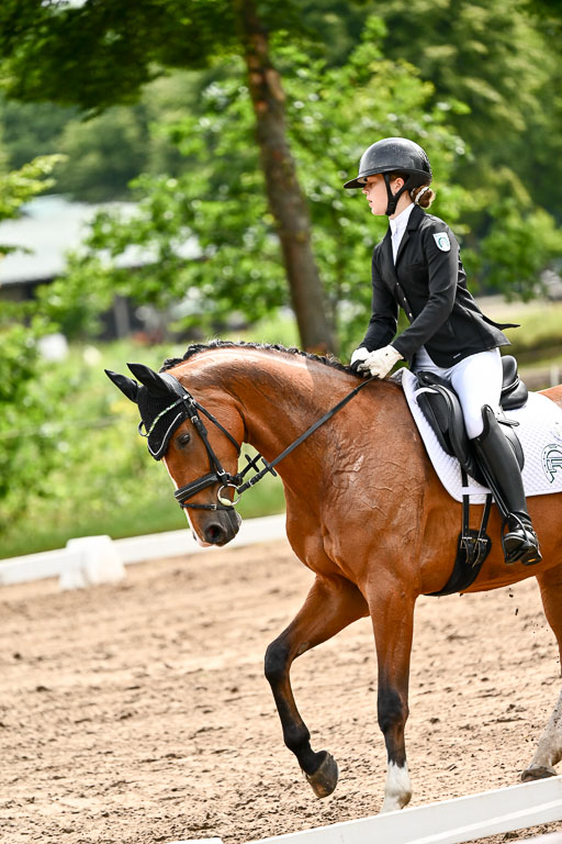 Goldene Schärpe Pferfde in Löningen 2026 | 12062026Dressur B _0357 