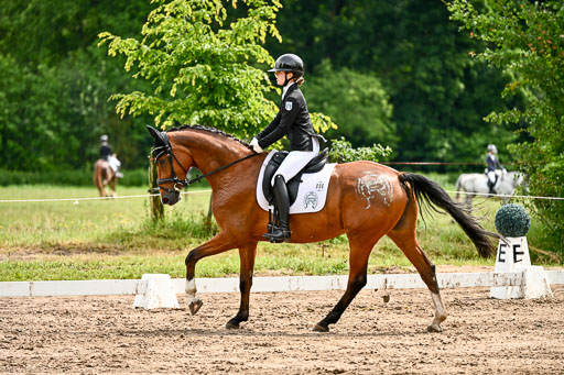 Goldene Schärpe Pferfde in Löningen 2026 | 12062026Dressur B _0359 