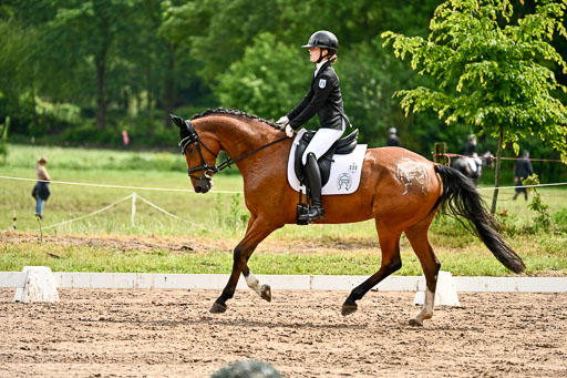 Goldene Schärpe Pferfde in Löningen 2026 | 12062026Dressur B _0360 