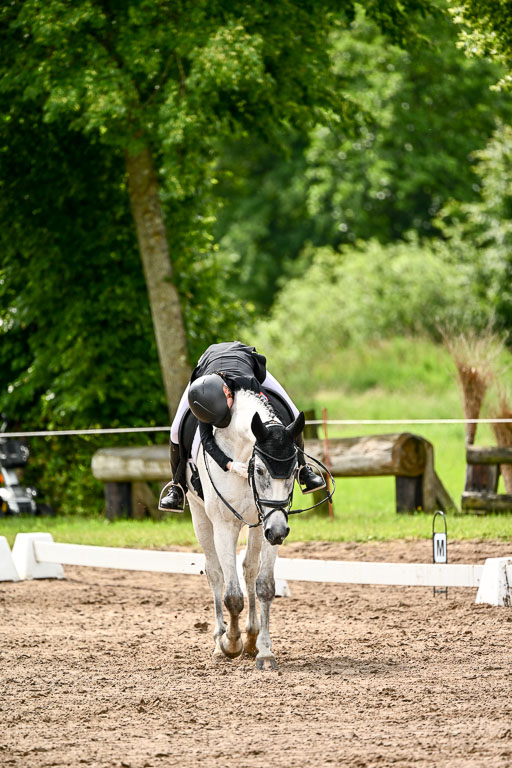 Goldene Schärpe Pferfde in Löningen 2026 | 12062026Dressur B _0362 