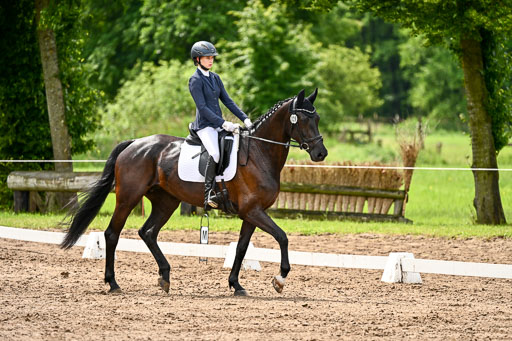 Goldene Schärpe Pferfde in Löningen 2026 | 12062026Dressur B _0367 