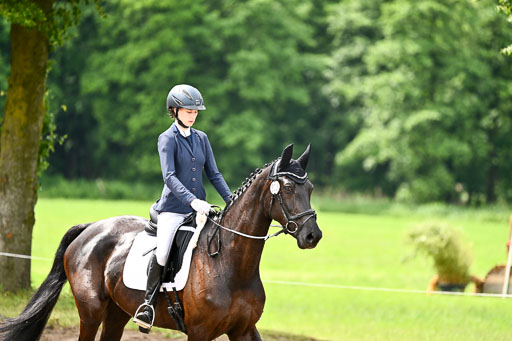 Goldene Schärpe Pferfde in Löningen 2026 | 12062026Dressur B _0368 