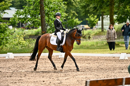 Goldene Schärpe Pferfde in Löningen 2026 | 12062026Dressur B _0370 