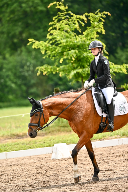 Goldene Schärpe Pferfde in Löningen 2026 | 12062026Dressur B _0372 