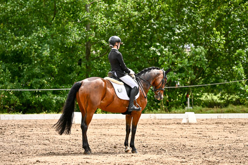 Goldene Schärpe Pferfde in Löningen 2026 | 12062026Dressur B _0373 