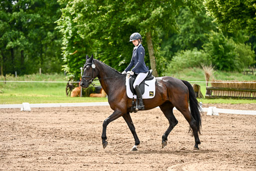 Goldene Schärpe Pferfde in Löningen 2026 | 12062026Dressur B _0374 
