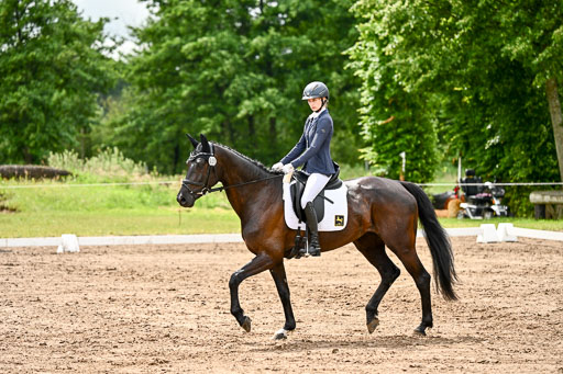 Goldene Schärpe Pferfde in Löningen 2026 | 12062026Dressur B _0375 