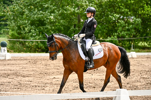 Goldene Schärpe Pferfde in Löningen 2026 | 12062026Dressur B _0376 