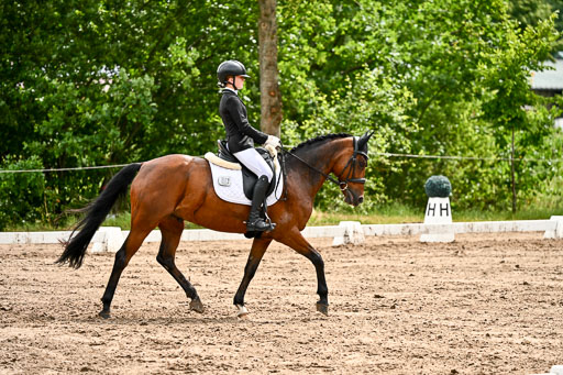 Goldene Schärpe Pferfde in Löningen 2026 | 12062026Dressur B _0378 
