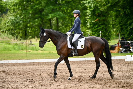 Goldene Schärpe Pferfde in Löningen 2026 | 12062026Dressur B _0380 