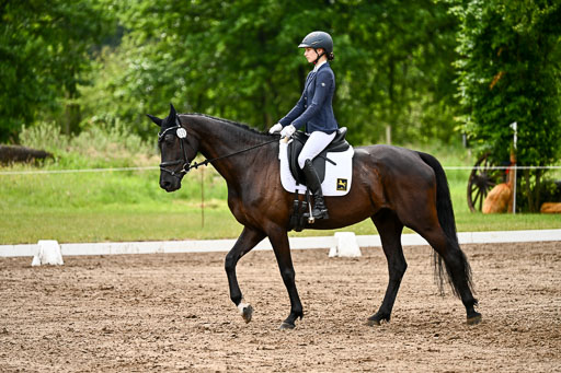 Goldene Schärpe Pferfde in Löningen 2026 | 12062026Dressur B _0381 
