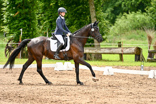 Goldene Schärpe Pferfde in Löningen 2026 | 12062026Dressur B _0384 