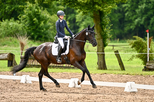Goldene Schärpe Pferfde in Löningen 2026 | 12062026Dressur B _0387 