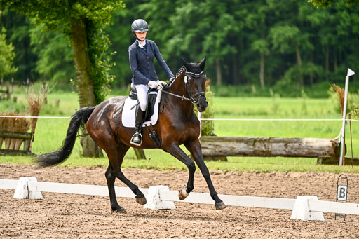 Goldene Schärpe Pferfde in Löningen 2026 | 12062026Dressur B _0388 