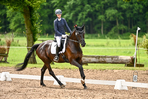 Goldene Schärpe Pferfde in Löningen 2026 | 12062026Dressur B _0389 