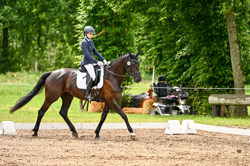 Goldene Schärpe Pferfde in Löningen 2026 | 12062026Dressur B _0390 