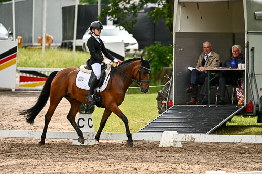 Goldene Schärpe Pferfde in Löningen 2026 | 12062026Dressur B _0391 