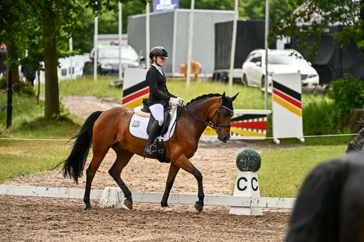 Goldene Schärpe Pferfde in Löningen 2026 | 12062026Dressur B _0395 