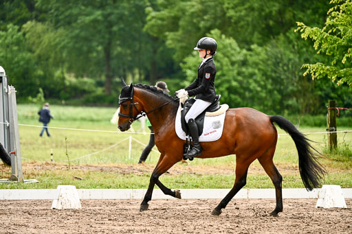 Goldene Schärpe Pferfde in Löningen 2026 | 12062026Dressur B _0396 