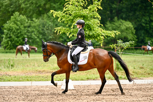 12062026Dressur-B-_0397.jpg