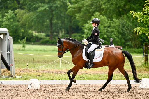 12062026Dressur-B-_0398.jpg