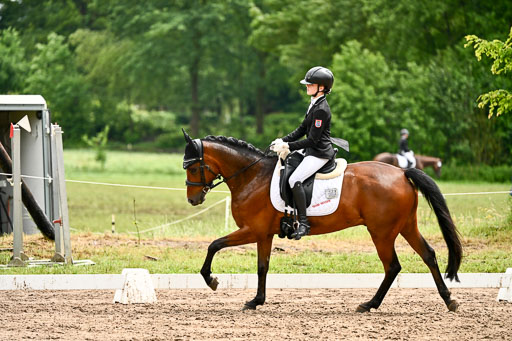 Goldene Schärpe Pferfde in Löningen 2026 | 12062026Dressur B _0399 