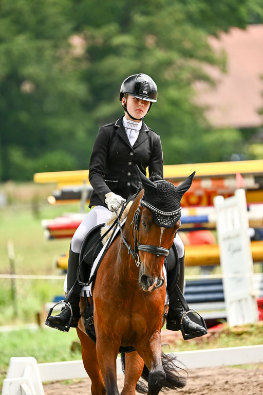Goldene Schärpe Pferfde in Löningen 2026 | 12062026Dressur B _0400 