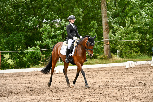 12062026Dressur-B-_0401.jpg