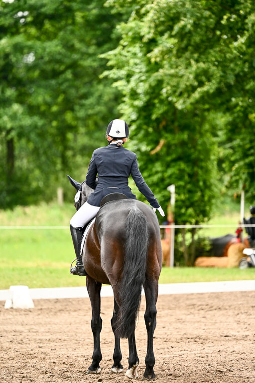 Goldene Schärpe Pferfde in Löningen 2026 | 12062026Dressur B _0404 